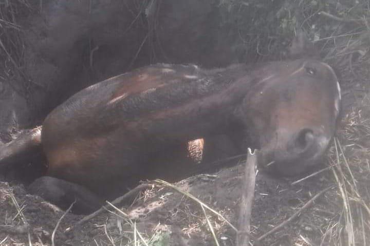 2edf666e-de2f-4a36-b404-8e06229958d1