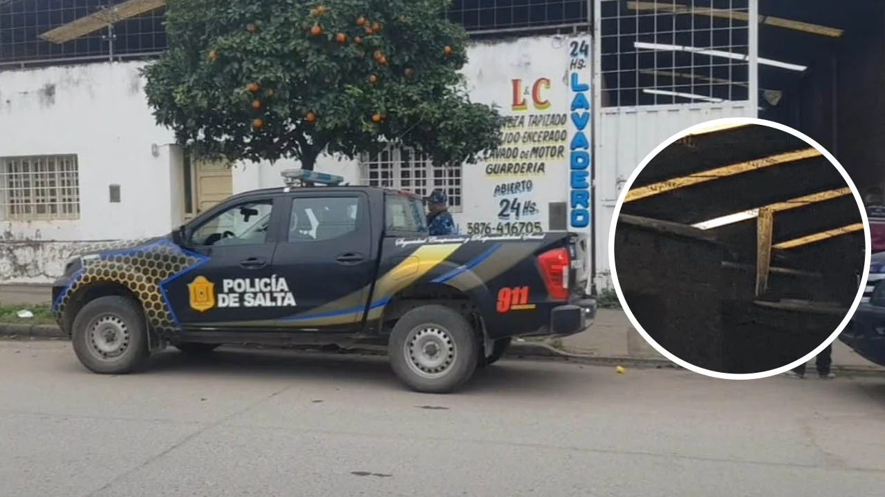 Sin título-1