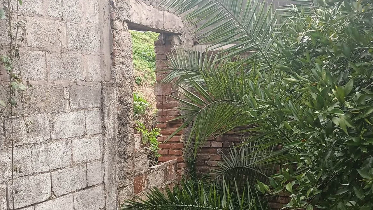 Sin título-1