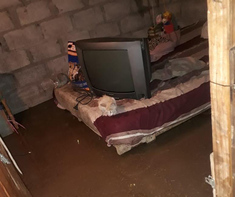 multimedia.normal.ac87353593265600.V2hhdHNBcHAgSW1hZ2UgMjAyNC0wMS0xNyBhdCAwMy5fbm9ybWFsLmpwZw==