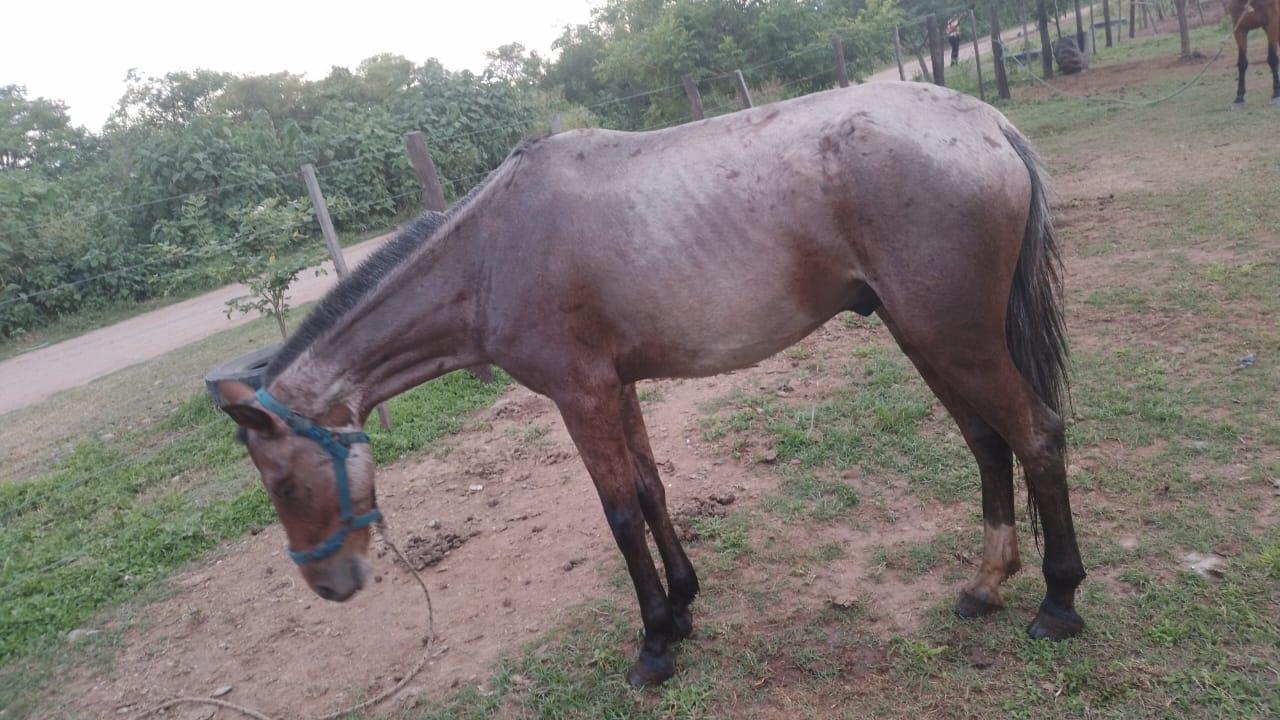 424660731_394660546851343_8011850745265570296_n