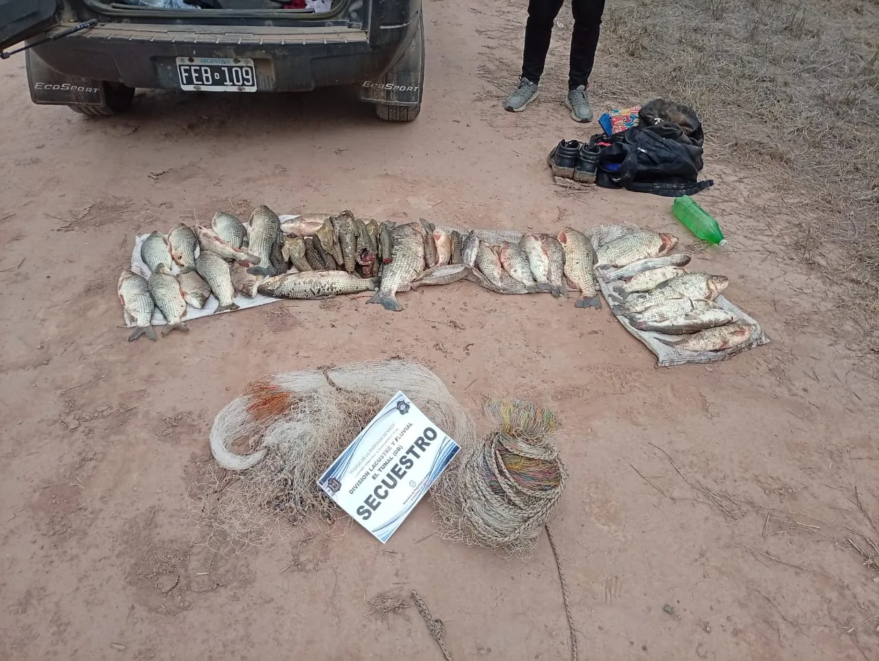 3f28d897-e043-4010-baf9-e1442c09ee38