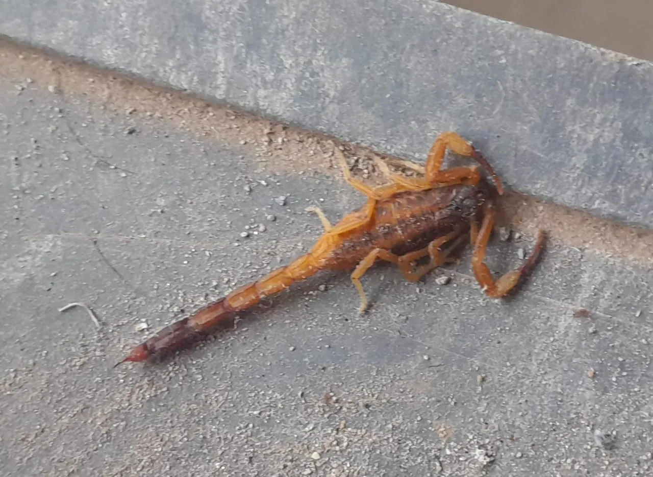 2aa48fc4-ffa5-4107-95e4-db87f87c618c