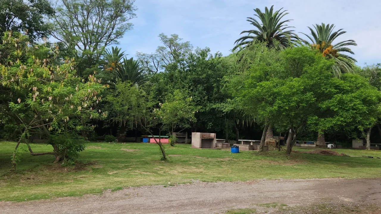 Sin título-1