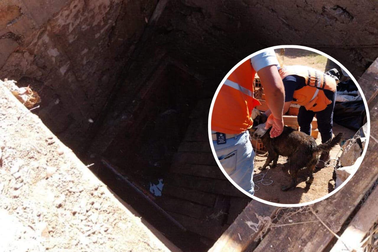 WhatsApp Image 2023-08-15 at 21.21.47