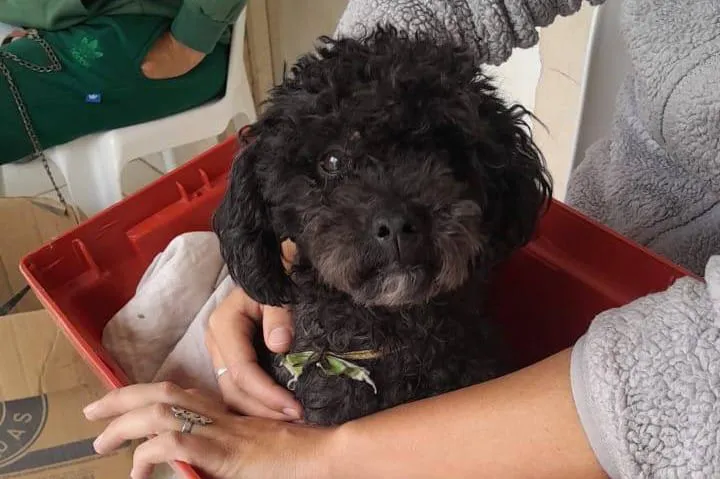 2abf7f5c-f484-4aa6-a663-efe4acda36cd