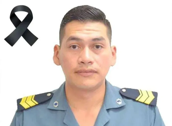 dee9b5ae-c5e1-4741-9fd9-3142cd262819