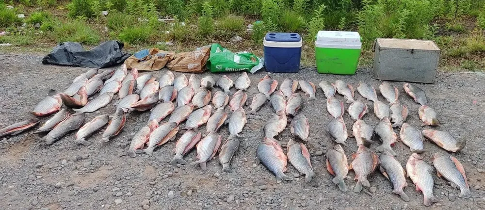 5673c053-54f0-4891-bbfa-3f43d88fe93f