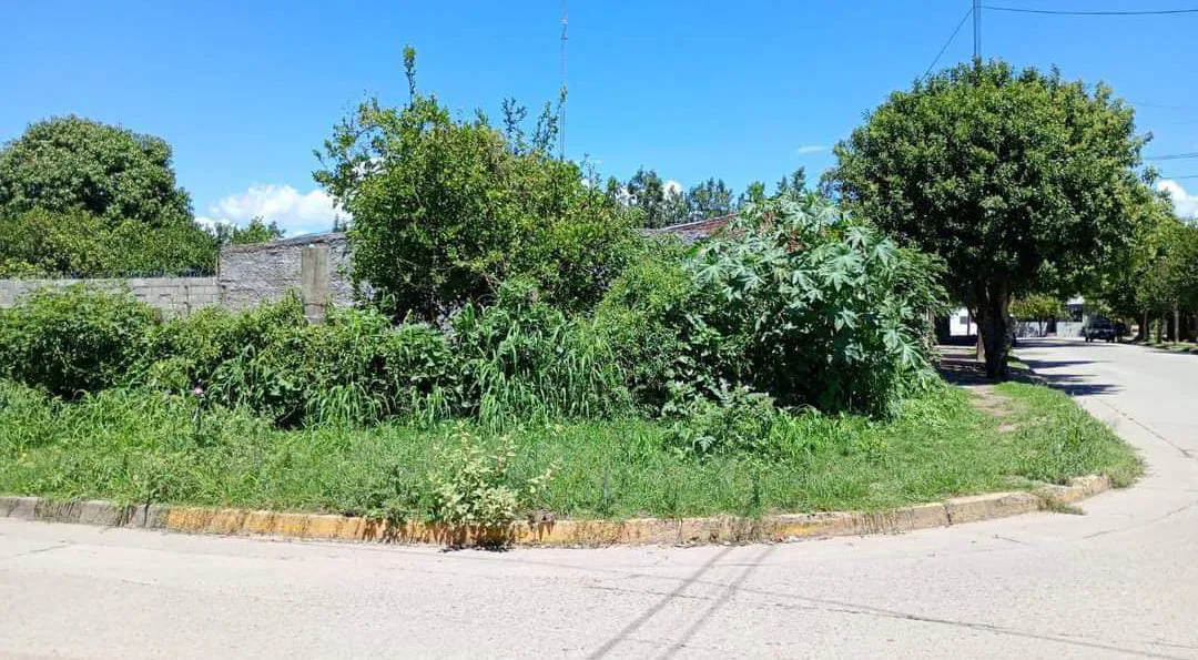 a448dc58-80ff-45f2-a69f-9db982910bce