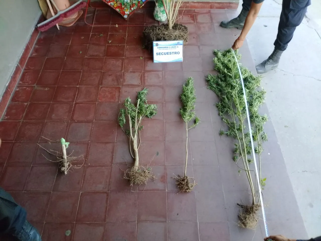 c331d8aa-50ea-4948-99d0-969f0076b507