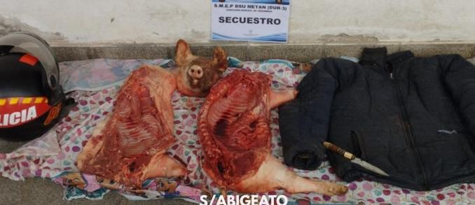 WhatsApp Image 2024-07-29 at 5.19.37 PM