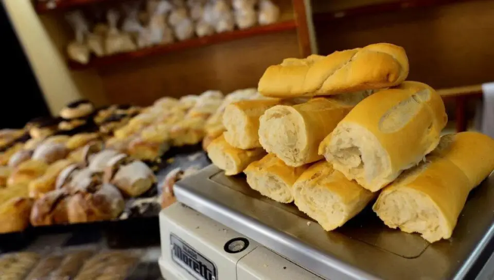 panaderos-plus1-medium-size