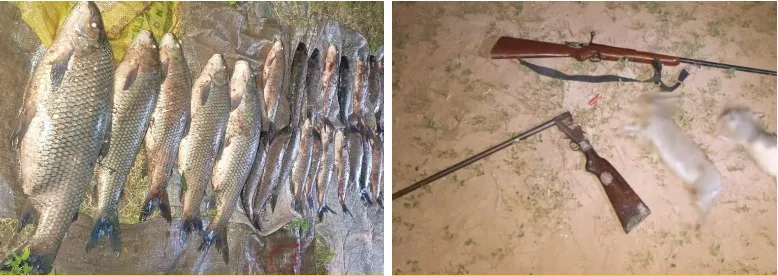 36659b39-d083-404a-be1d-0612430796ed