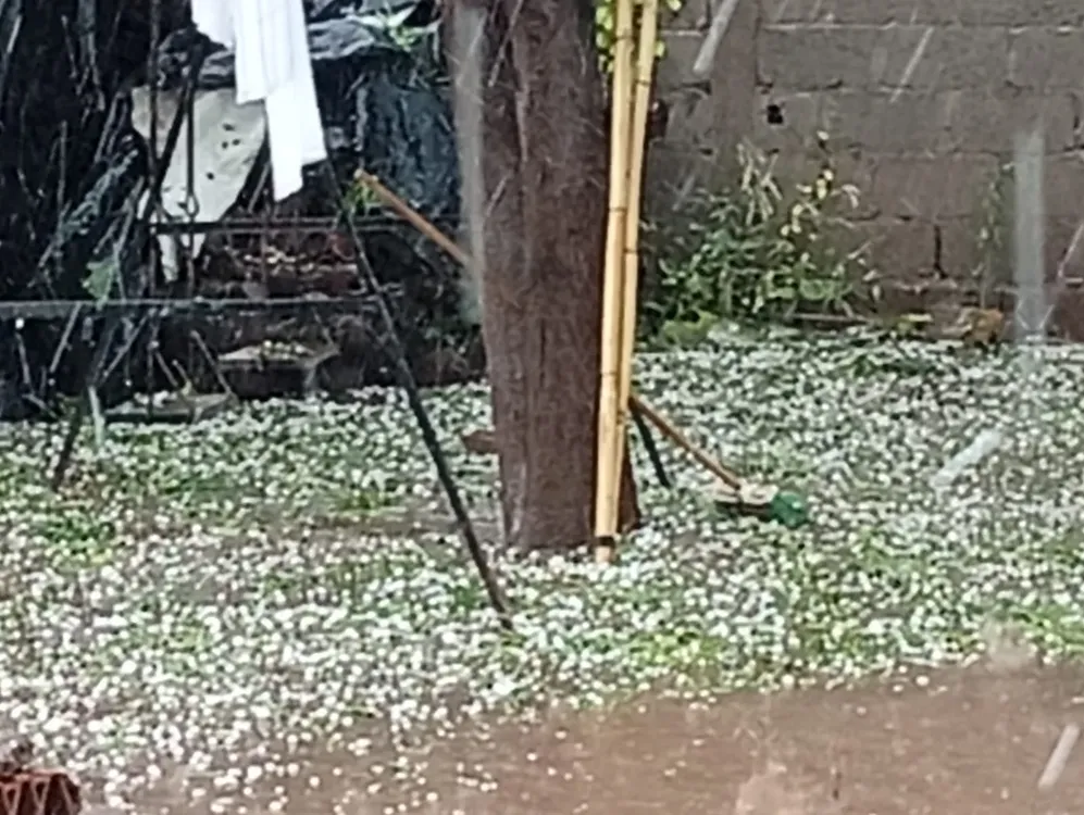 794a6624-cf25-45f6-a8ec-4426226a3e87