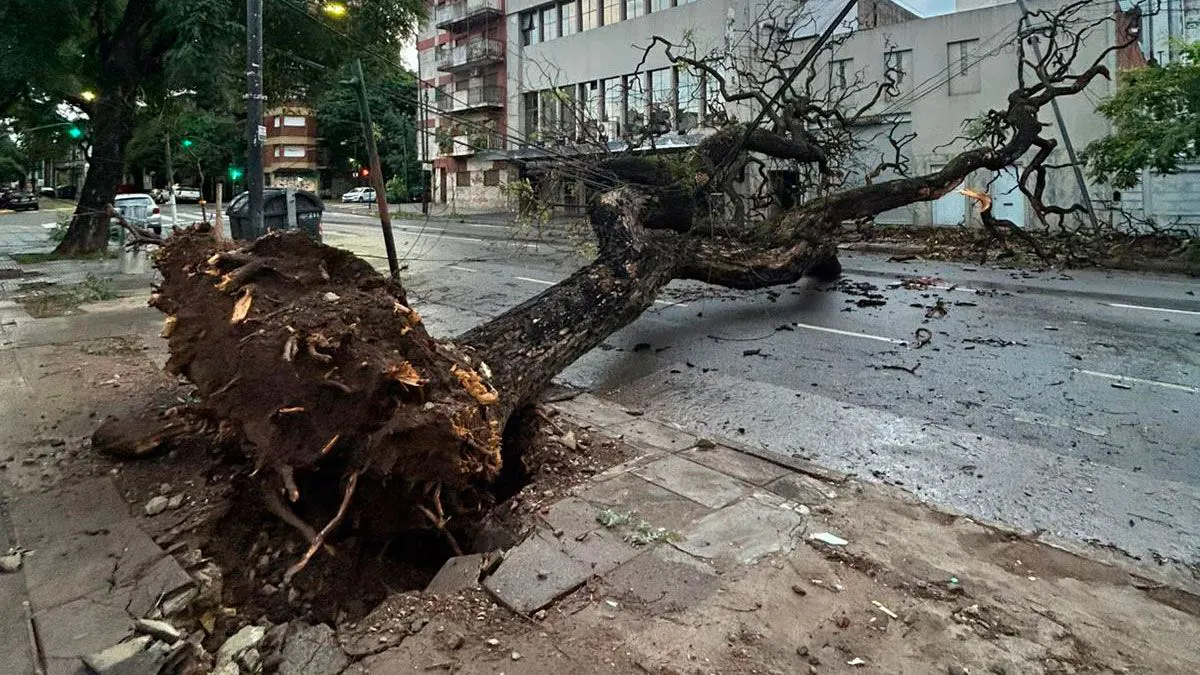 temporal-buenos-aires-508492-074814