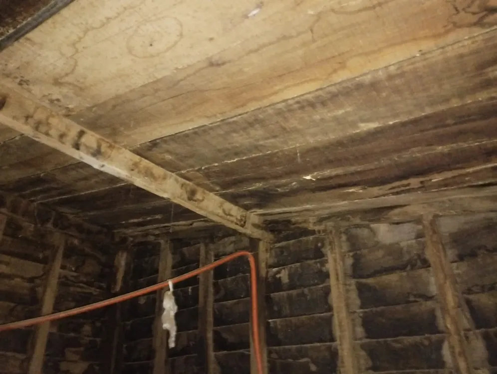 468335183_899566705611525_6050778664258870899_n