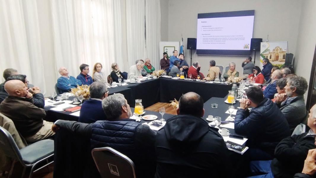 95716-provincias-del-noa-evaluaron-estrategias-para-el-manejo-y-control-de-la-chicharrita-del-maiz