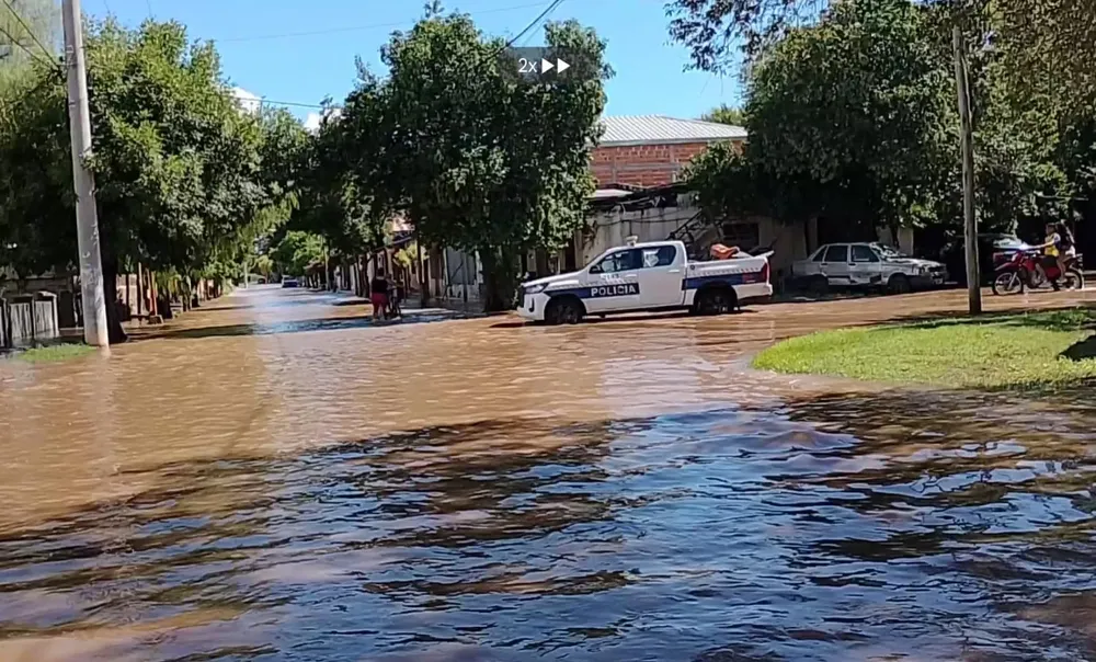 WhatsApp Image 2026-02-22 at 10.09.42 PM (1)