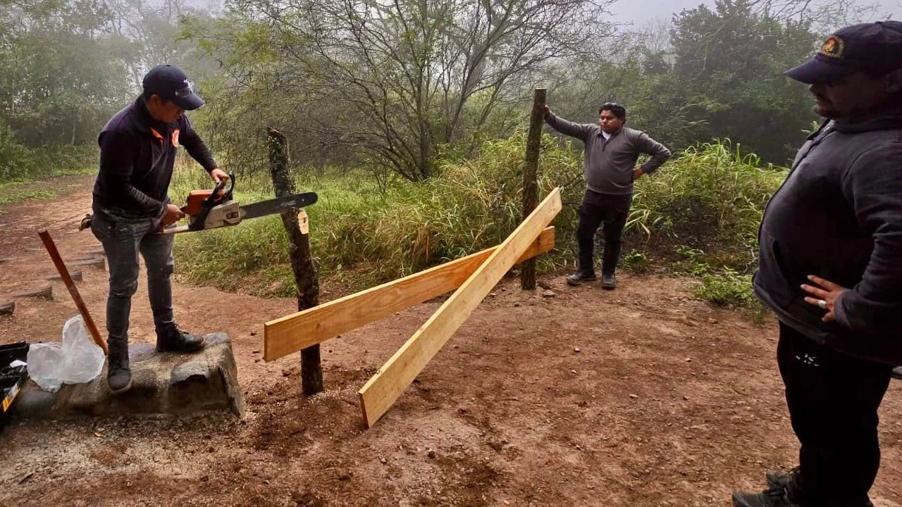Sin título-1