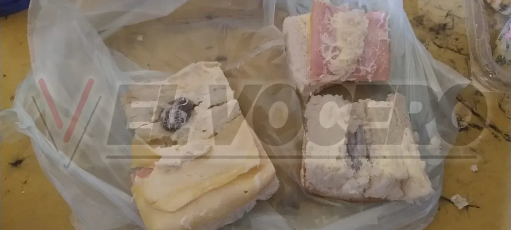 71d4ca03-ca14-4dca-884e-3096904fe4cb