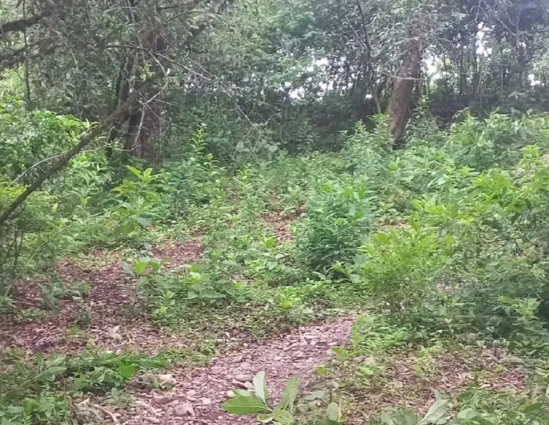 2ea35d5d-80d4-4267-af69-667de916916f