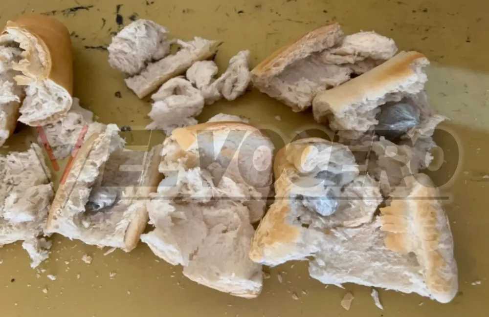 ebf5839b-8ac2-4559-874f-1eed49dd9c39