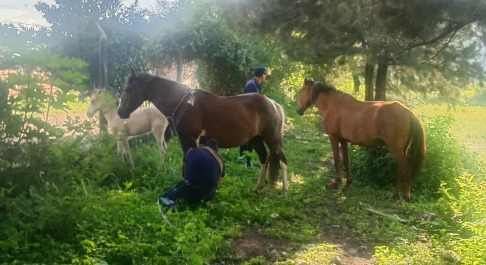 10a46076-9baa-4e48-a8c0-1cf38ee54560