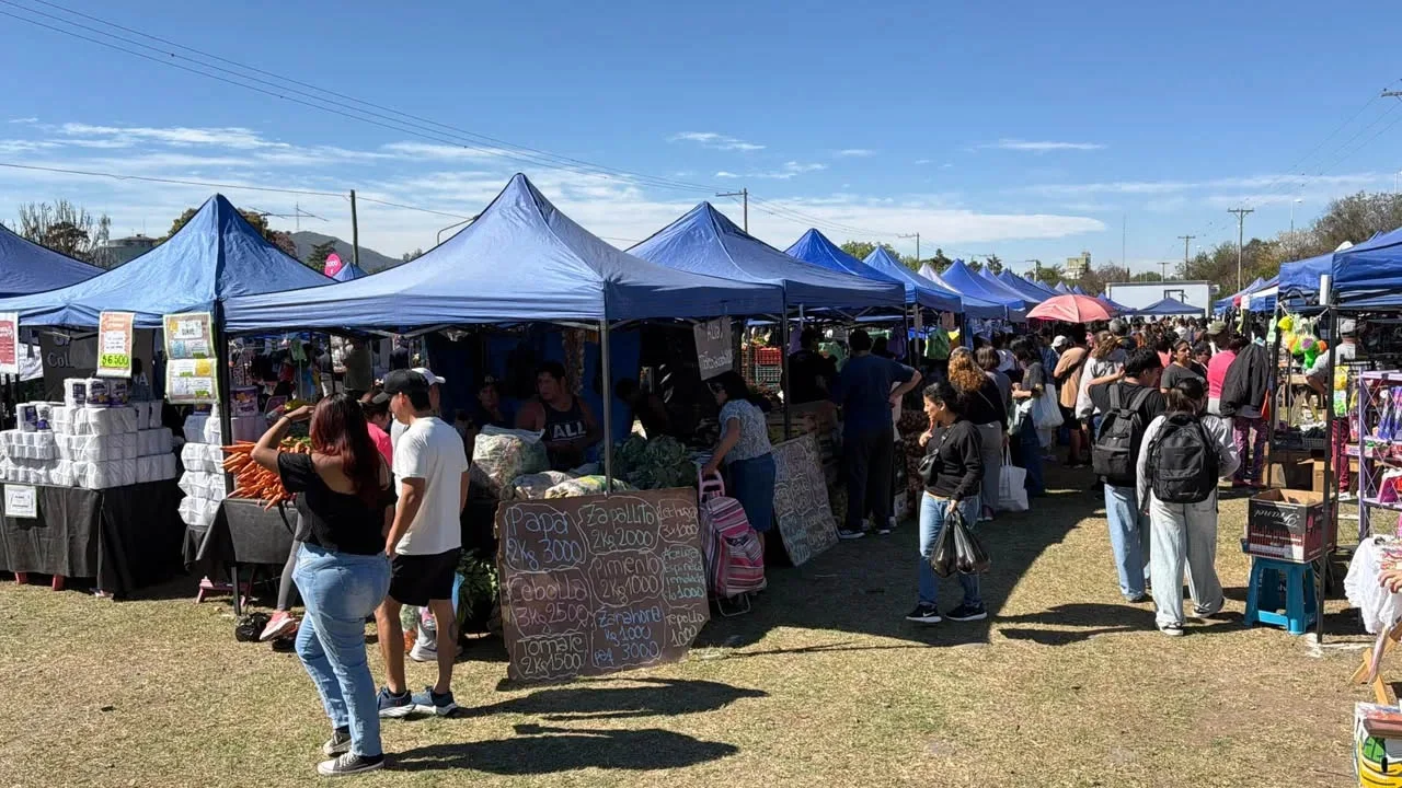 Sin título-1