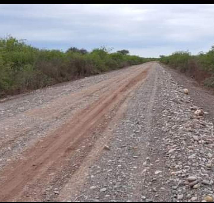 WhatsApp Image 2024-08-11 at 11.20.01 PM