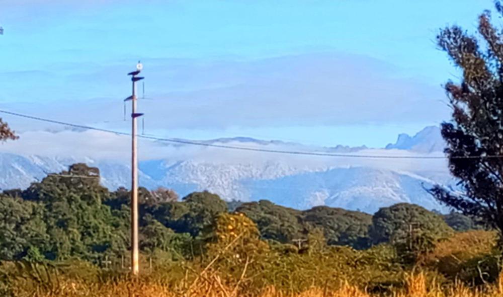 WhatsApp Image 2024-07-11 at 9.51.37 AM