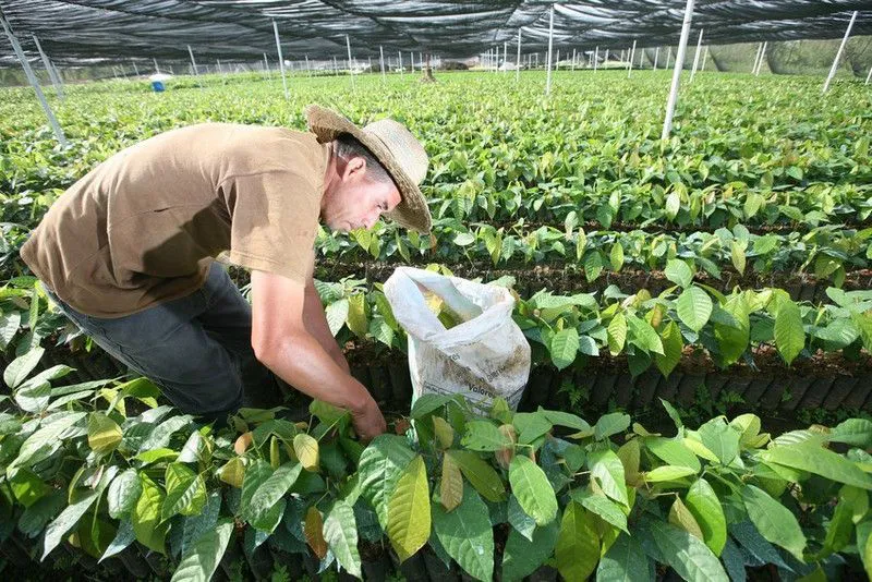 coagricsal-1642549314