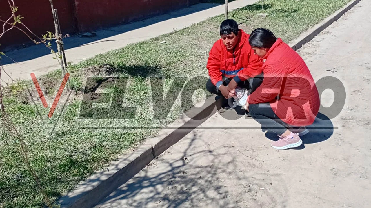 Sin título-1