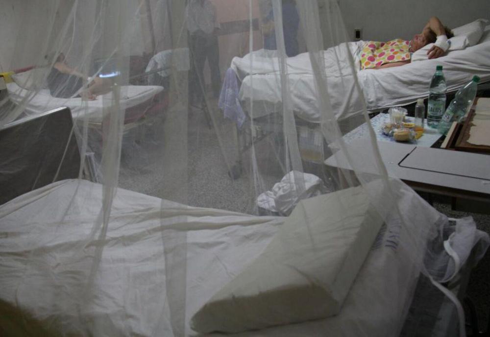 internados dengue