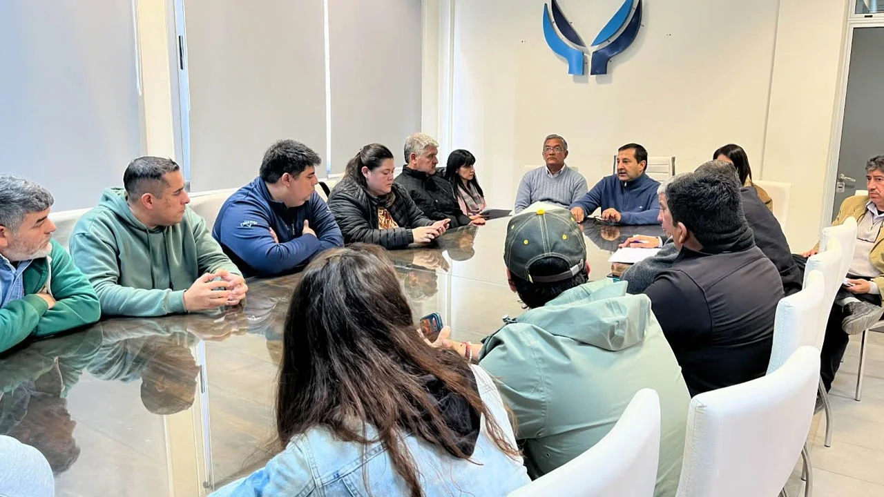 Sin título-1