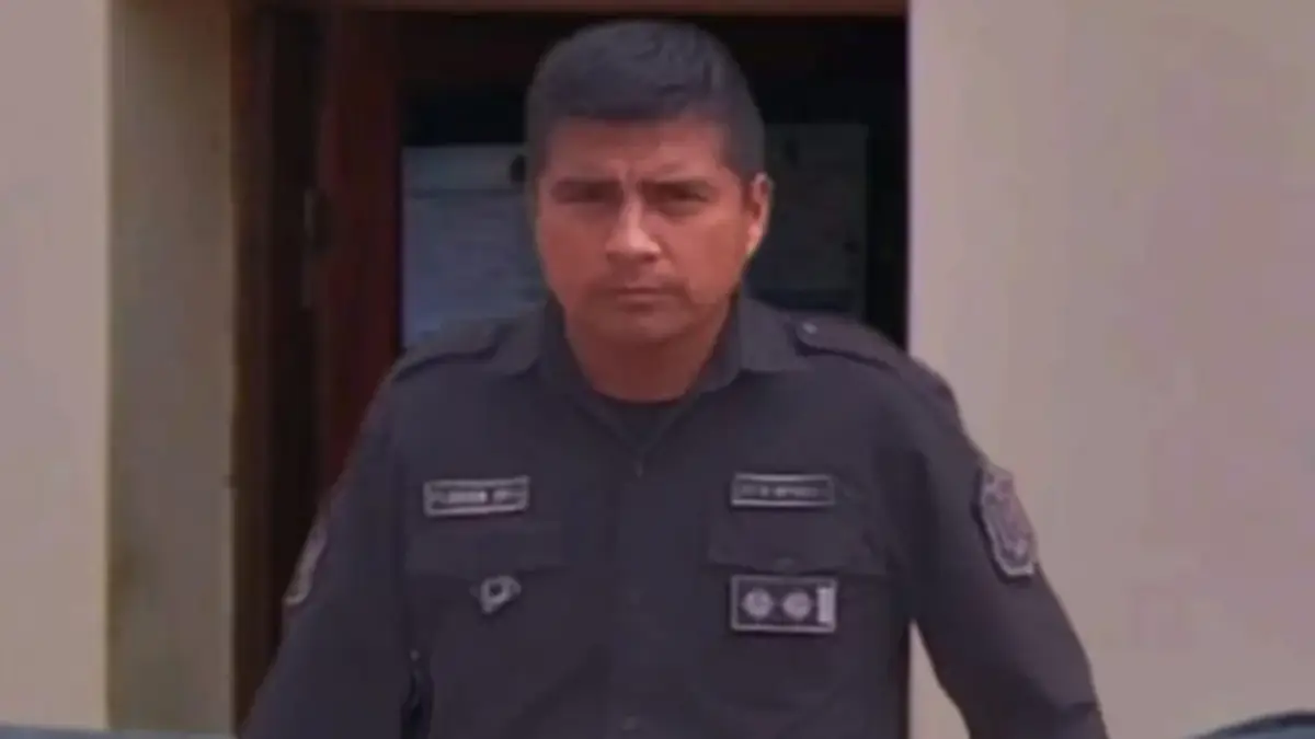 multimedia.normal.ac4528e44f0fe537.Q29taXNhcmlvIEZsb3Jlc19ub3JtYWwud2VicA==