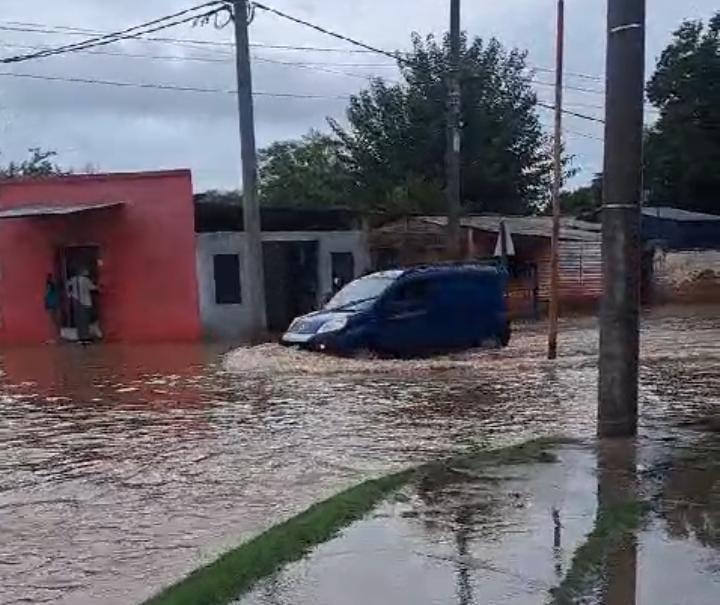 WhatsApp Image 2024-02-28 at 9.37.00 AM