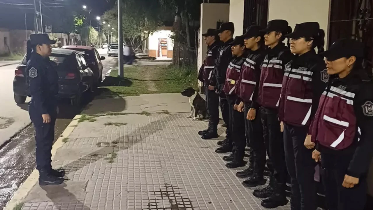 Sin título-1