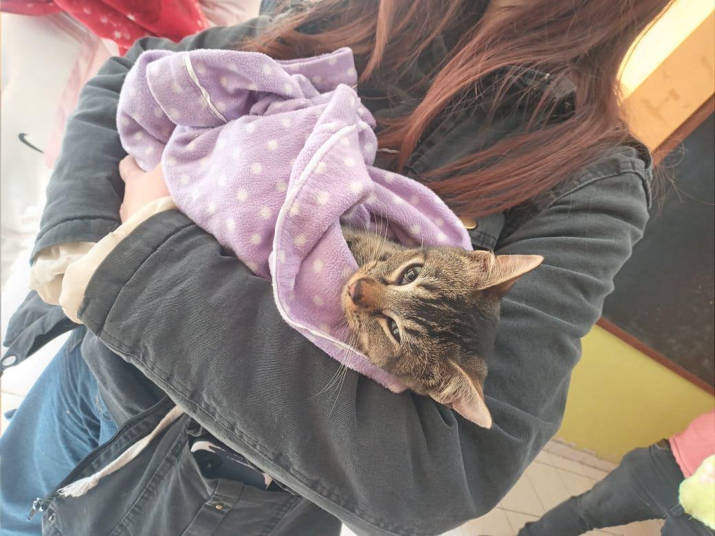 458186290_825499846435708_5921449928669845060_n