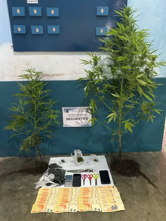 WhatsApp-Image-2025-02-21-at-11.31.24-AM-1068x1424