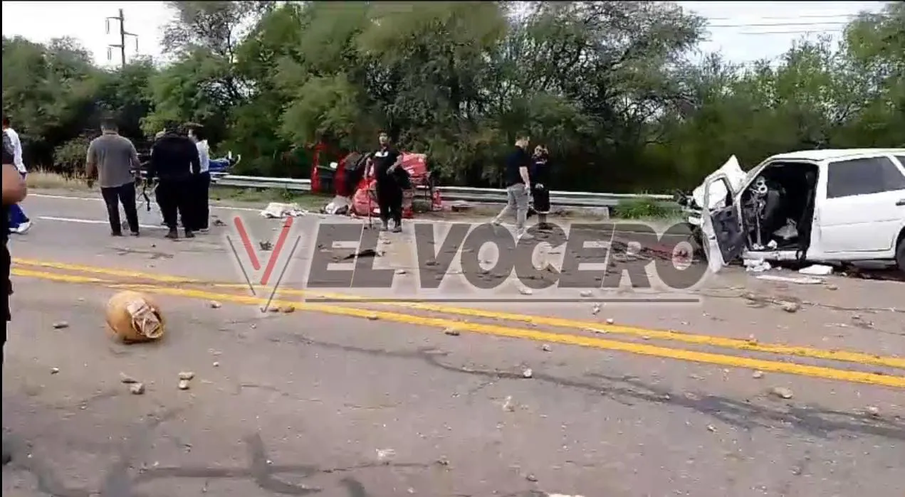 WhatsApp Image 2024-10-28 at 8.09.51 PM