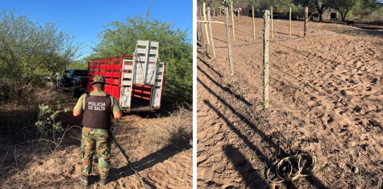 28ad19f2-9344-4934-aa0d-9e3b4f71d987