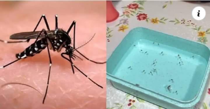 FB_IMG_1681104903116