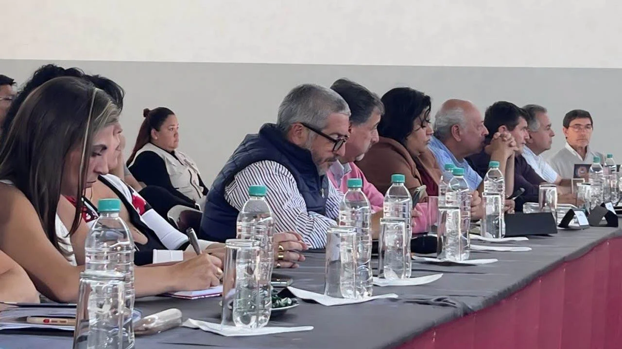 Sin título-1