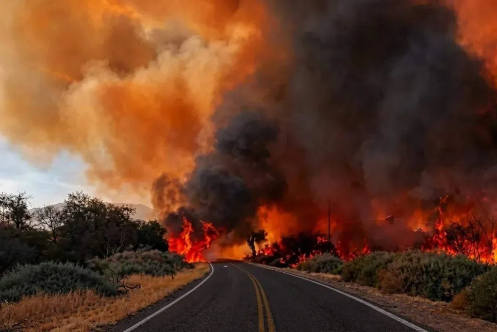 incendios-cafayate-1024x683