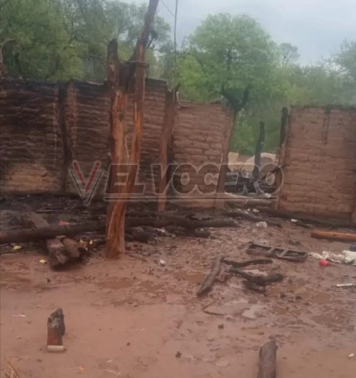 f01a1353-237a-47df-95d2-e71bb7a5eeee