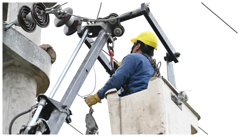 multimedia.normal.9648716911082930.ZWRlc2EgcmVub3ZhY2nDs24gcmVkIHRyb25jYWxfbm9ybWFsLndlYnA=