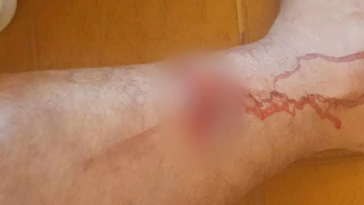 fd4f39bc-c284-4f83-bfaa-b9800da7da5f