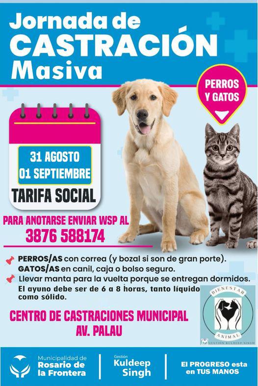 456307580_832608915640638_2609796614716745147_n