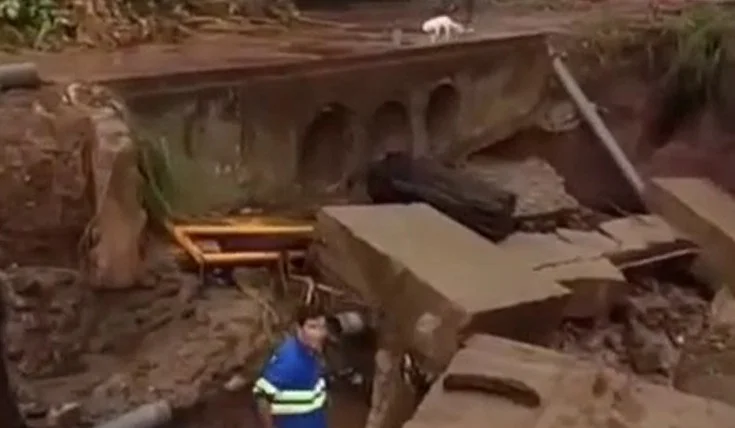 WhatsApp Image 2026-02-08 at 11.41.12 AM