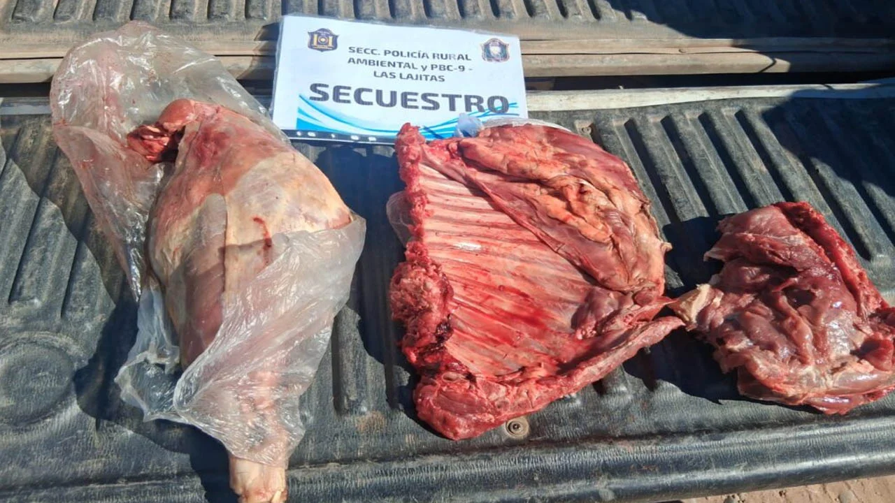 Sin título-1